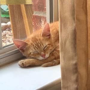 Meet your Posher, Manuela